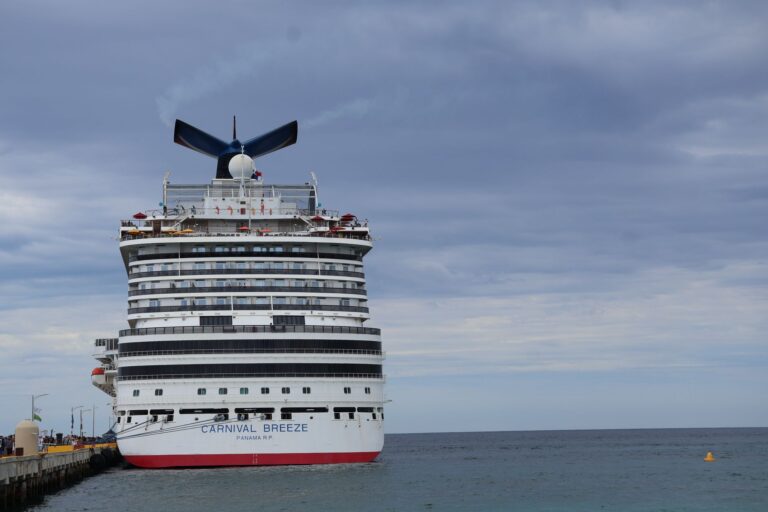 Carnival Cruise passenger overboard