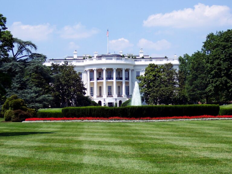 White House CNN slur